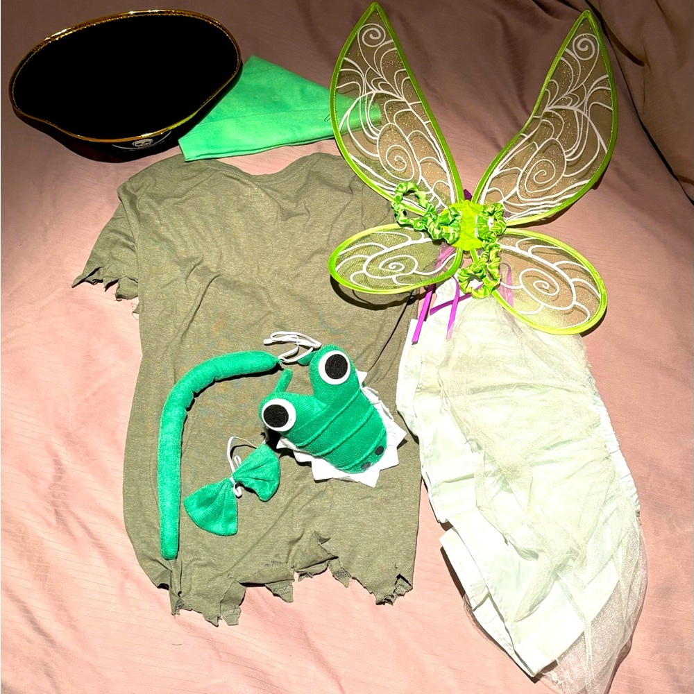 Peter Pan family costume